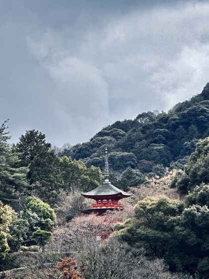 Pagoda kalnų miške